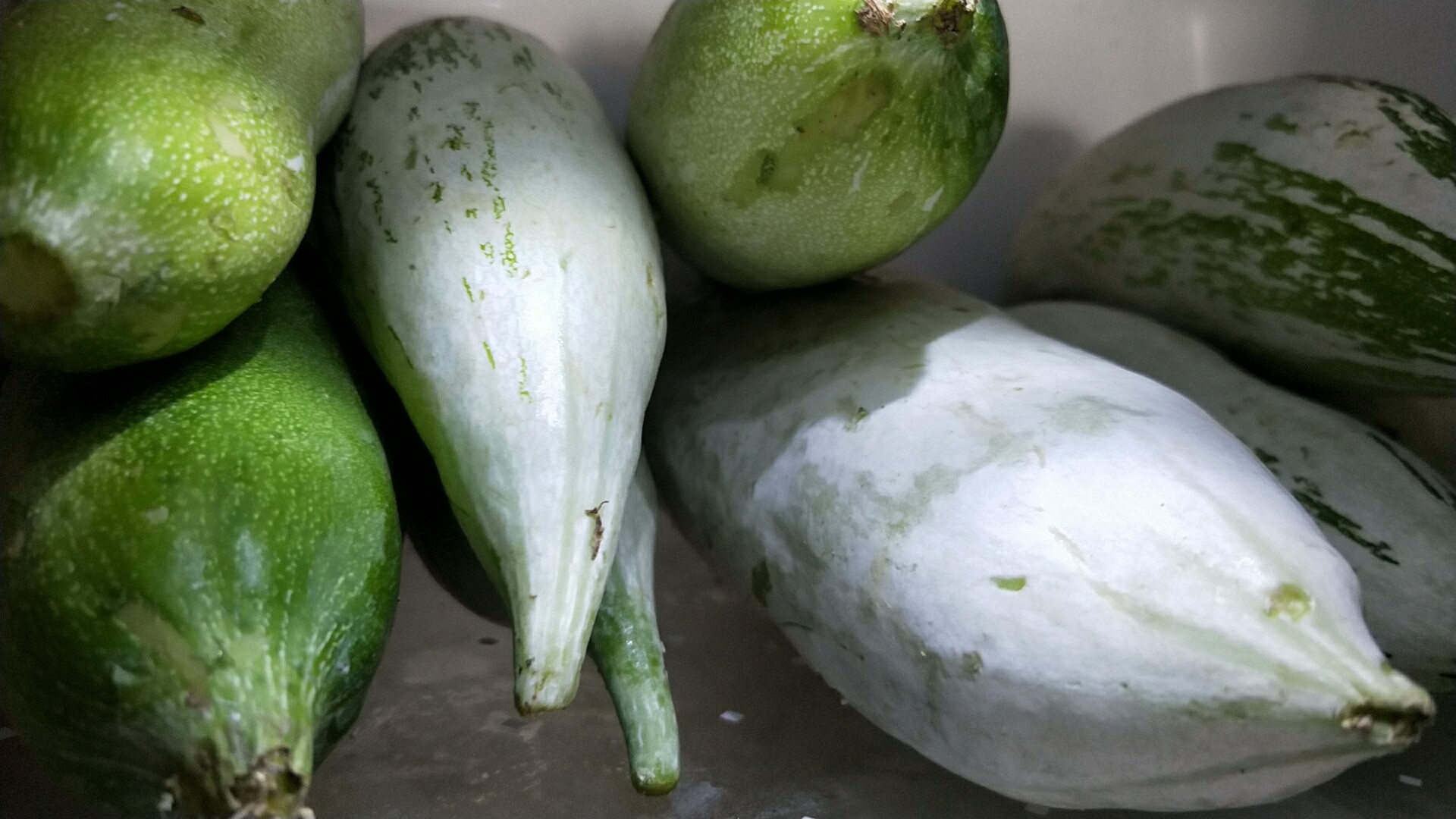 元气自拍#这叫什么瓜