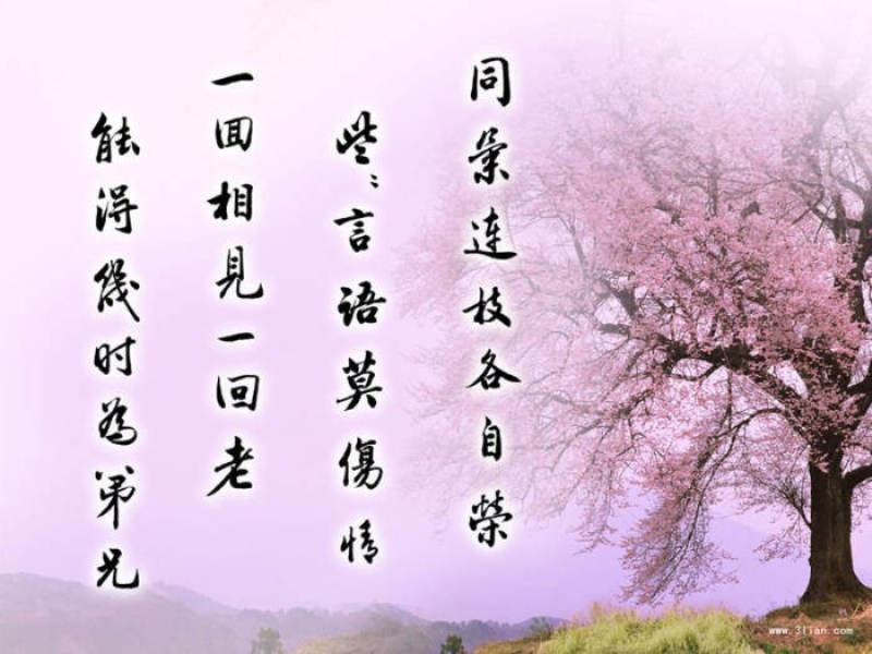 说不出的那种滋味图片,说不出的滋味图片,心里说不出的滋味图片_大山谷图库