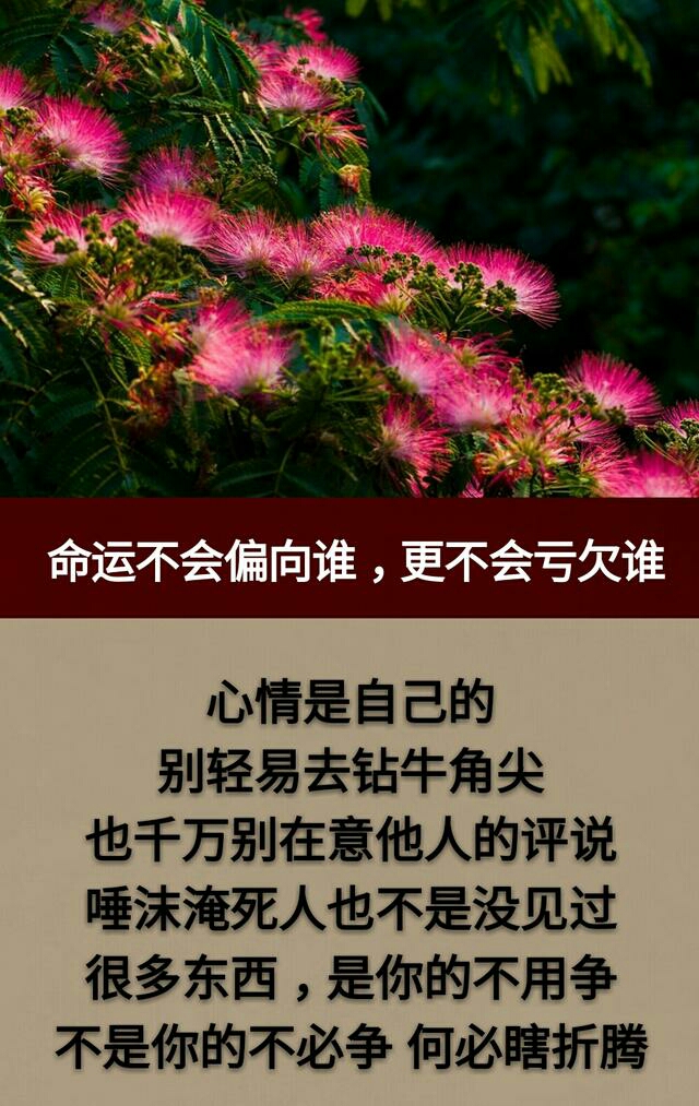 最难还的是人情债!_帖子_oppo手机官方社区