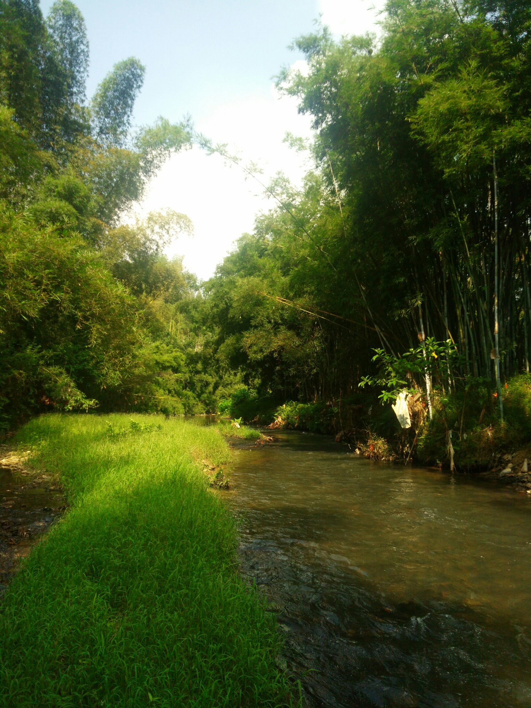 乡下美景150图片