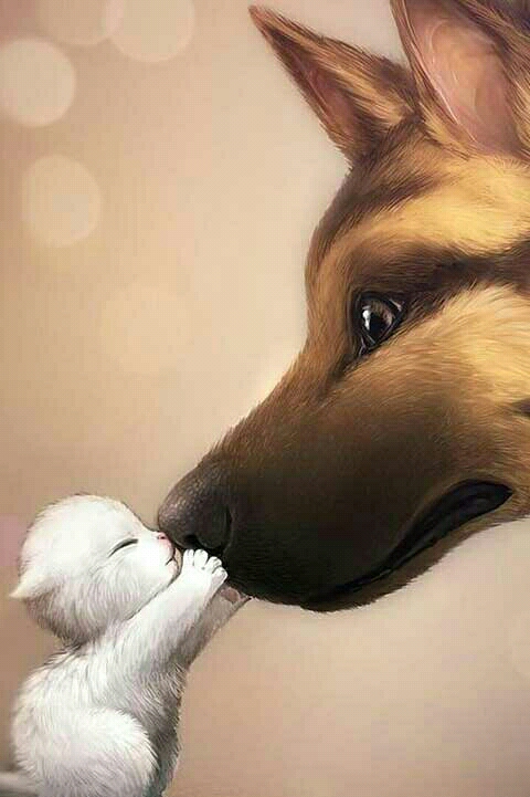 狼和羊的恩怨,只需要一个吻,就可以化解