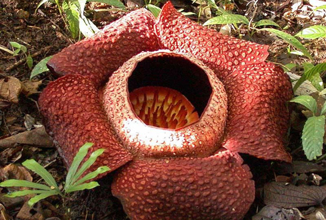 有被吓到的吗[表情][表情][表情]_帖子_oppo手机官方社区