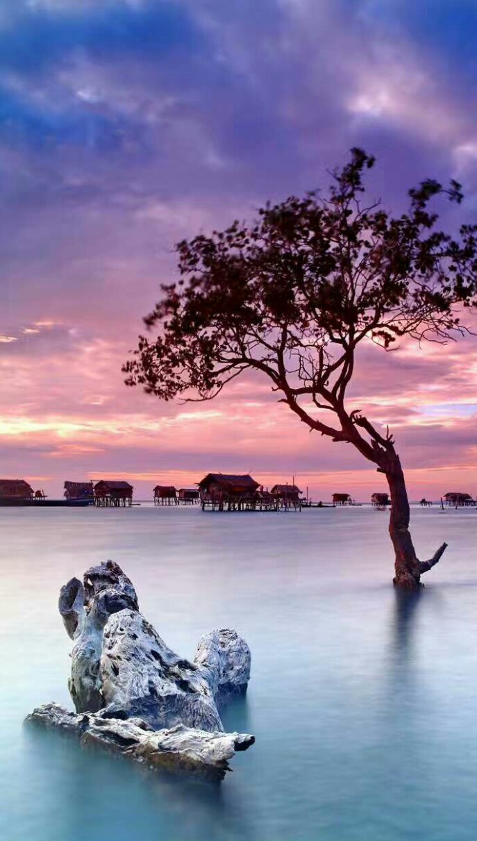 永远爱着你儿子