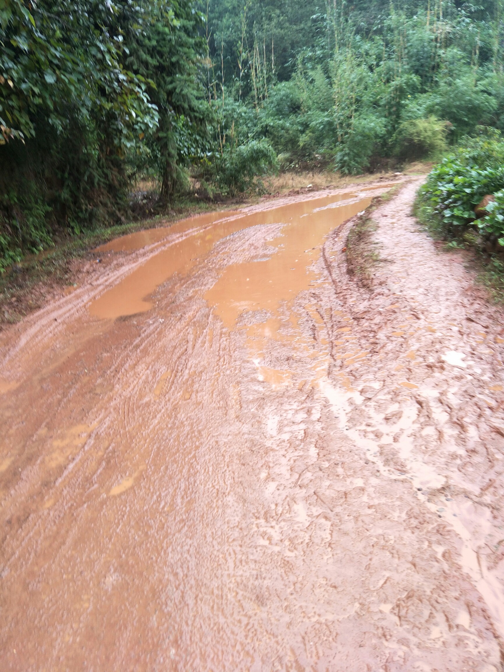 进村道,路变得更加窄,也越发的泥泞了,每一步脚上都会满是稀泥