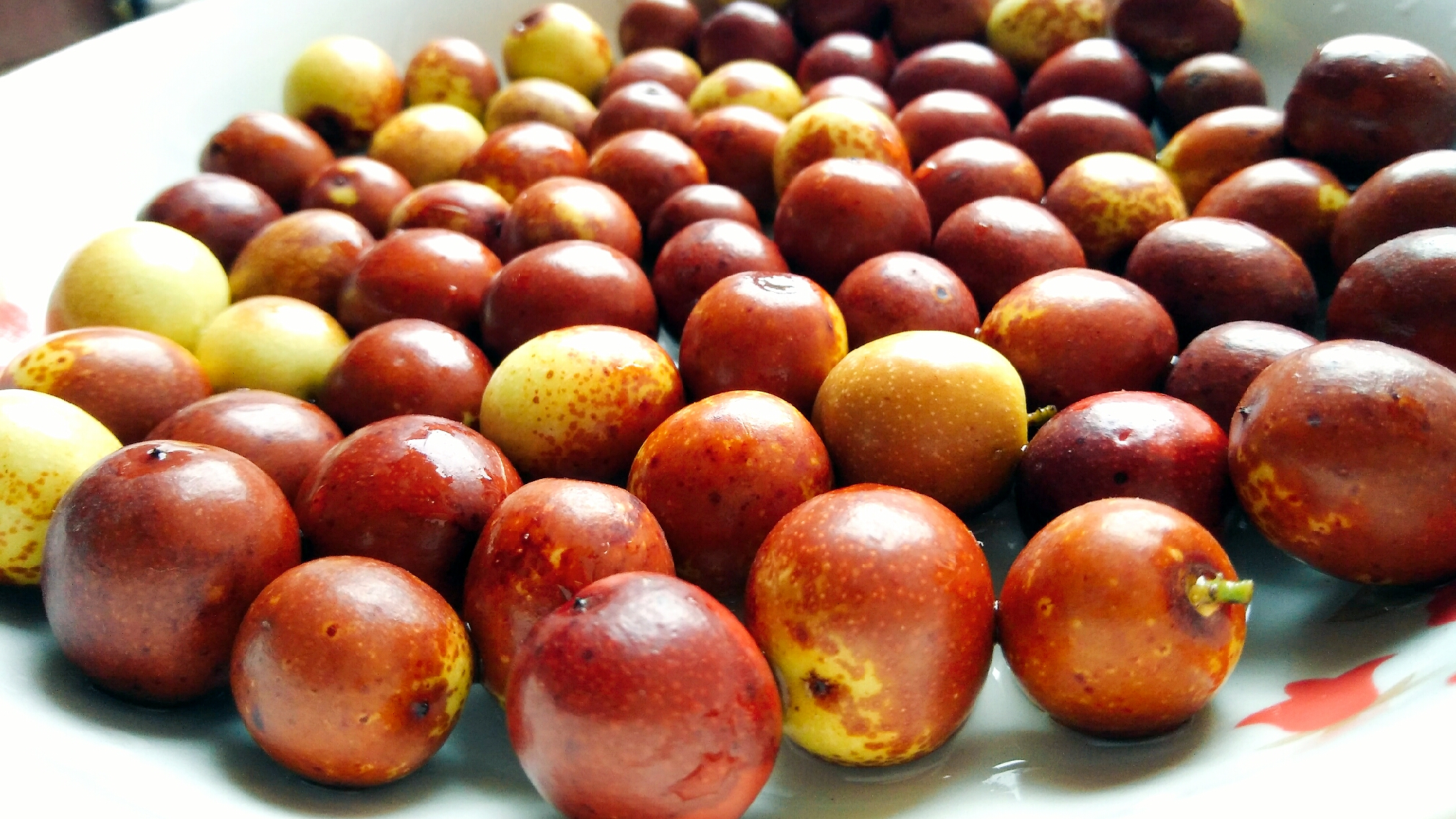 中秋    小团圆#小酸枣