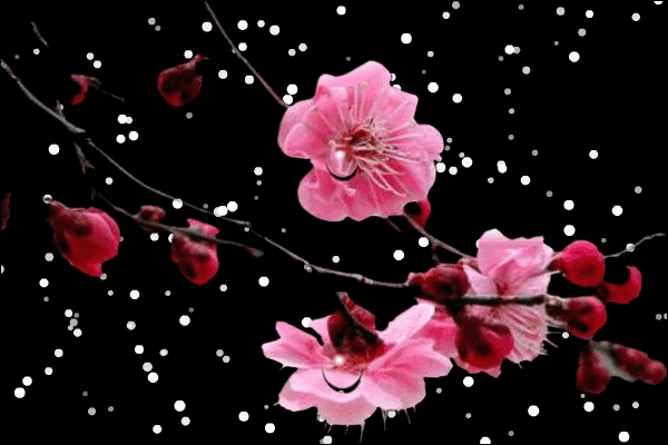 中秋 · 小团圆#中秋赏月金秋_帖子_oppo手机官方社区