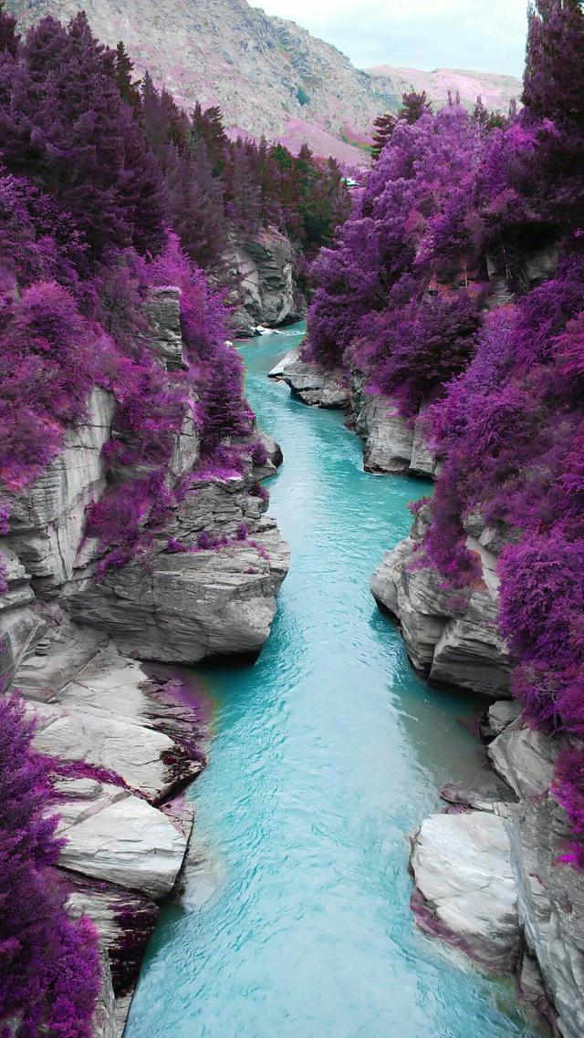 早上好社友们_帖子_oppo手机官方社区