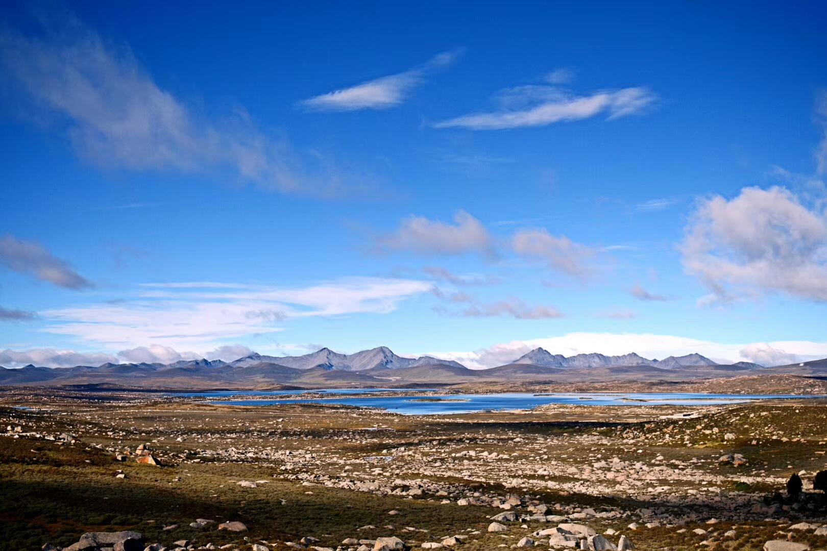 十月印象#_帖子_oppo手机官方社区