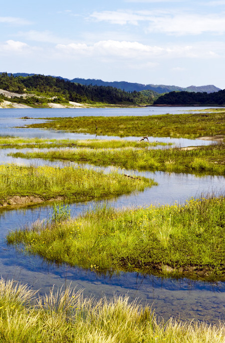 这是我老家云南大关: (罗汉坝湿地公园片区)
