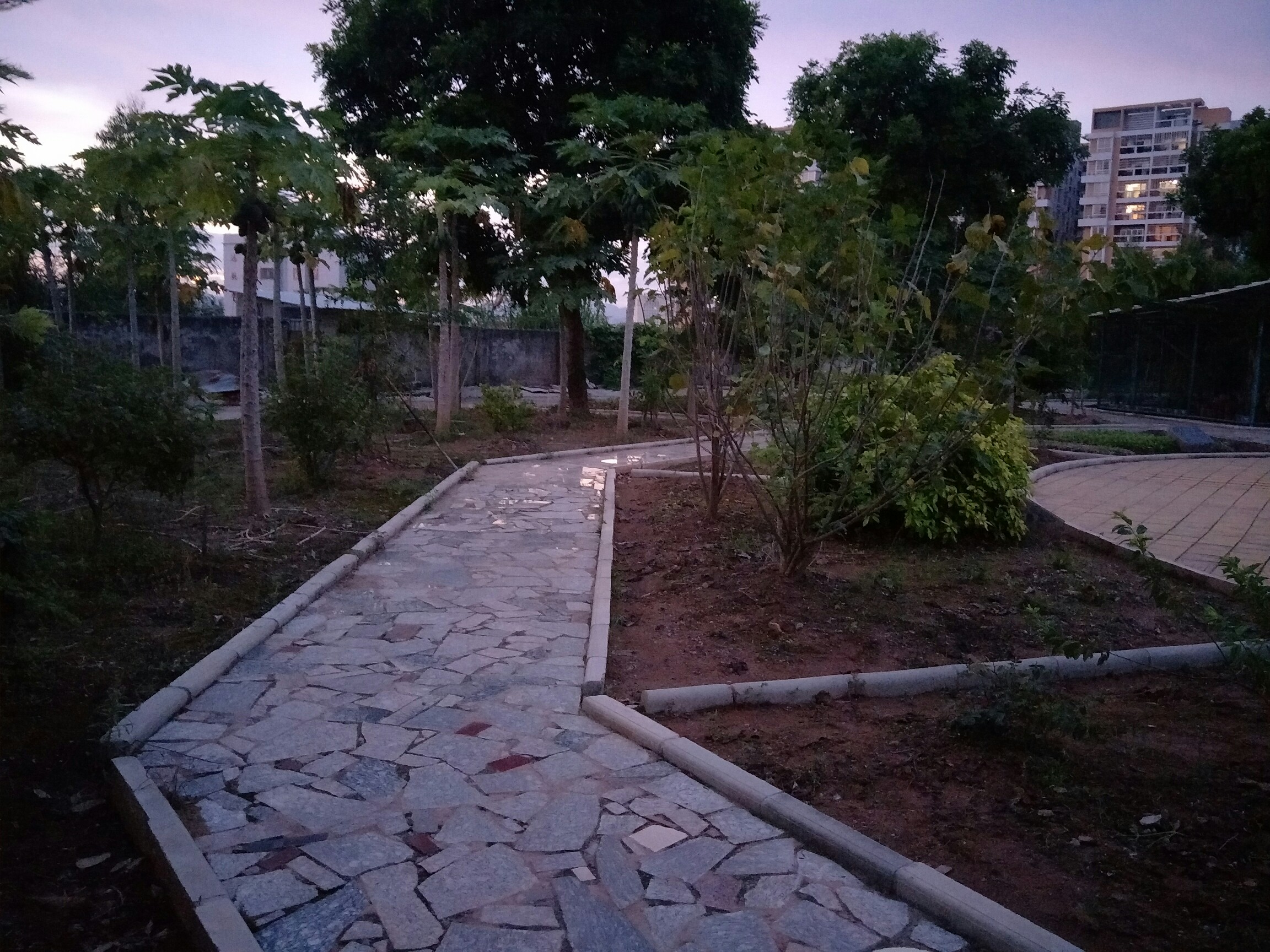 生日只有我妈知道,好心酸!