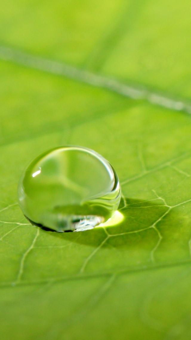 星光璀璨万里飘雨_帖子_oppo手机官方社区