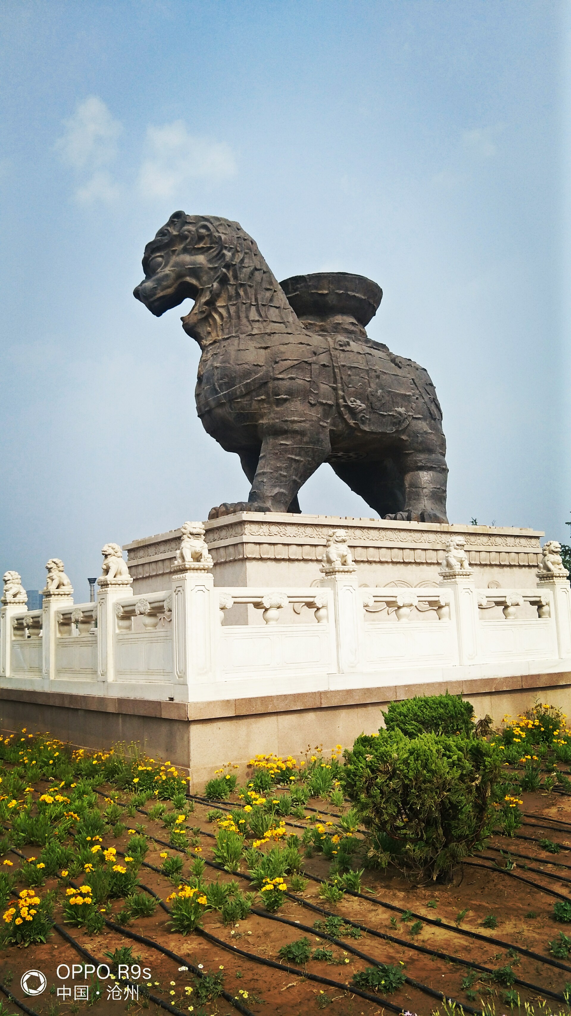 沧州,铁狮"镇海吼".