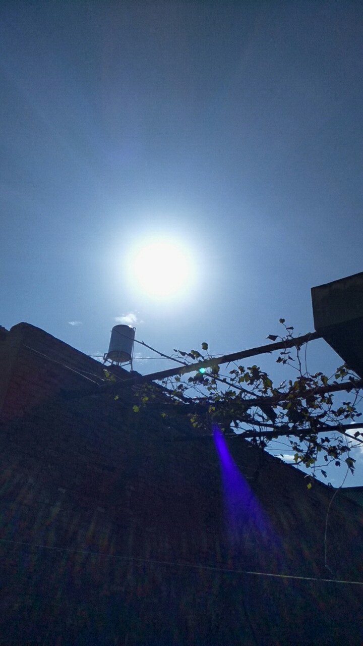 今天天晴了,太阳终于出来了!看到蓝蓝的天,心情很好!