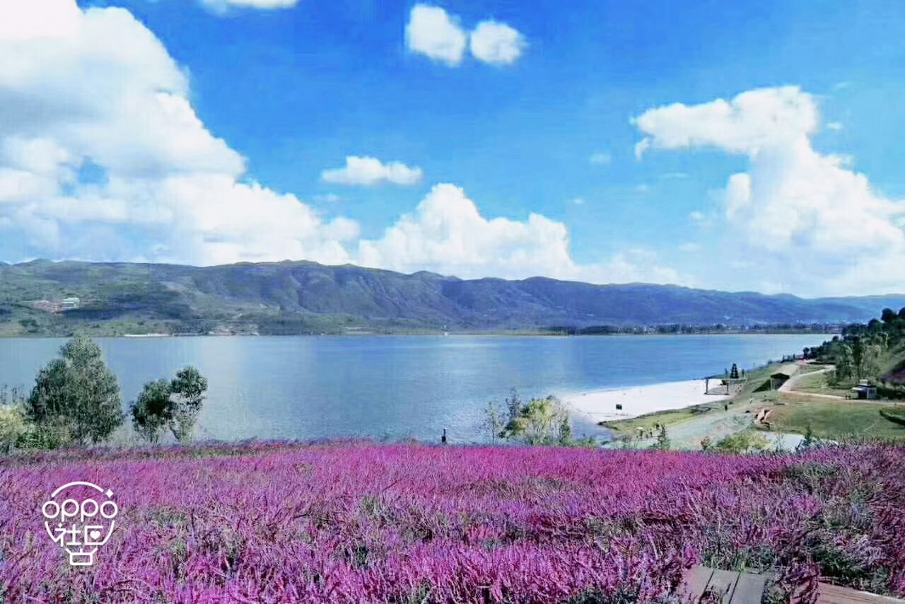 十月印象#_帖子_oppo手机官方社区