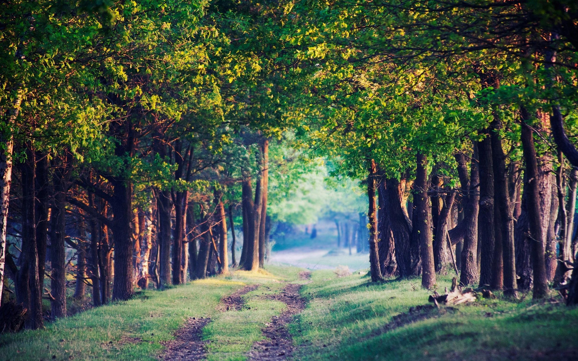 用手机记录生活#_帖子_oppo手机官方社区