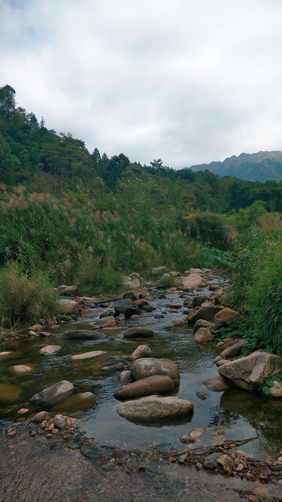 鹿寨拉沟.风景挺好,就是路太弯了,搞得我晕车!