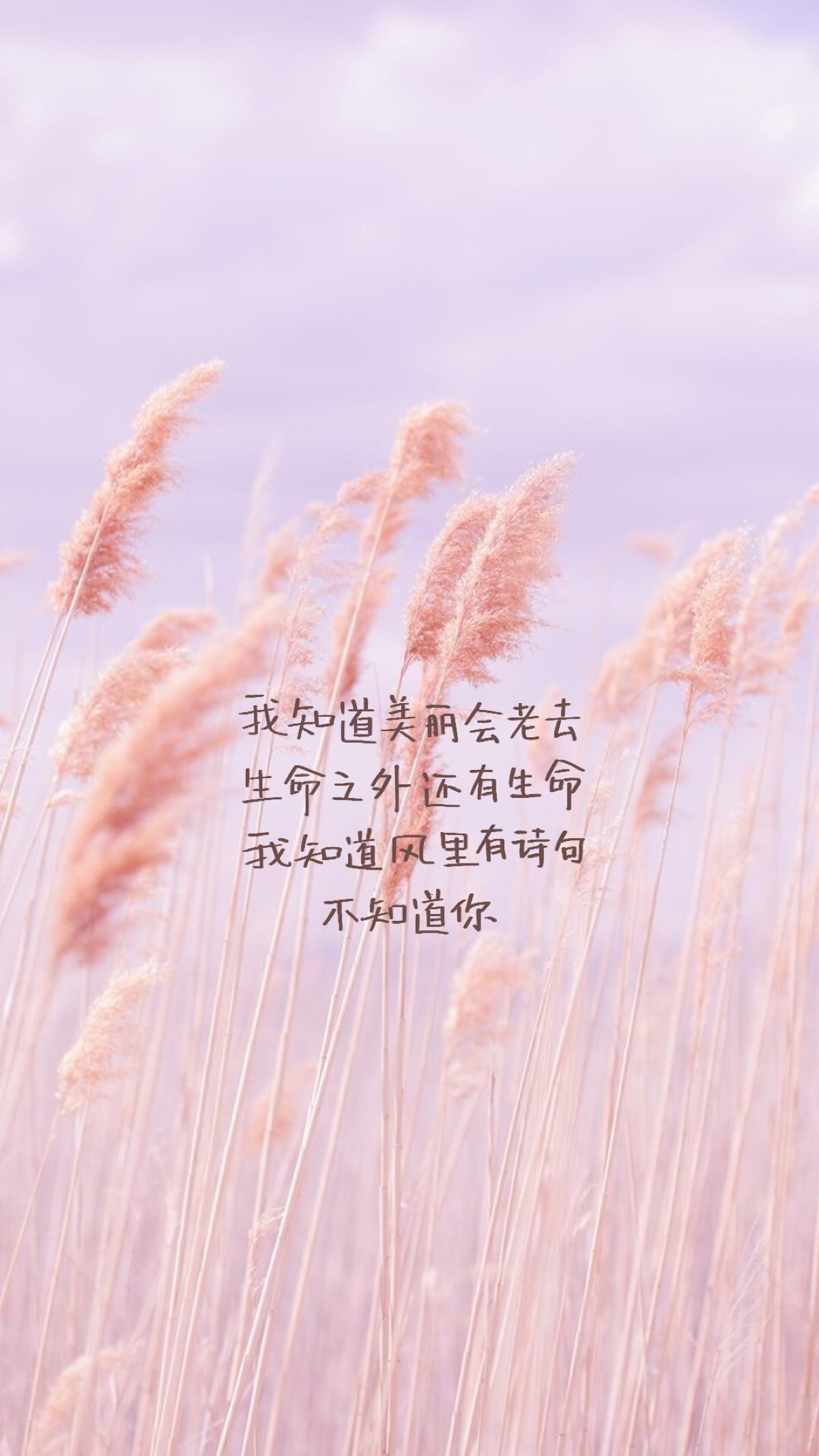 回忆太牵强