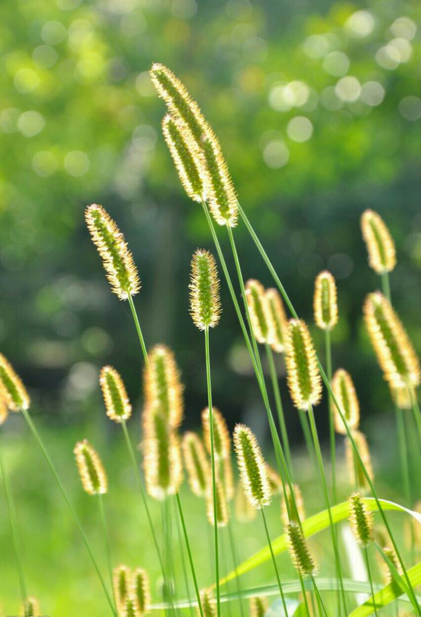 怎样才能做到不卑不亢是什么意思 15087106146495.jpg