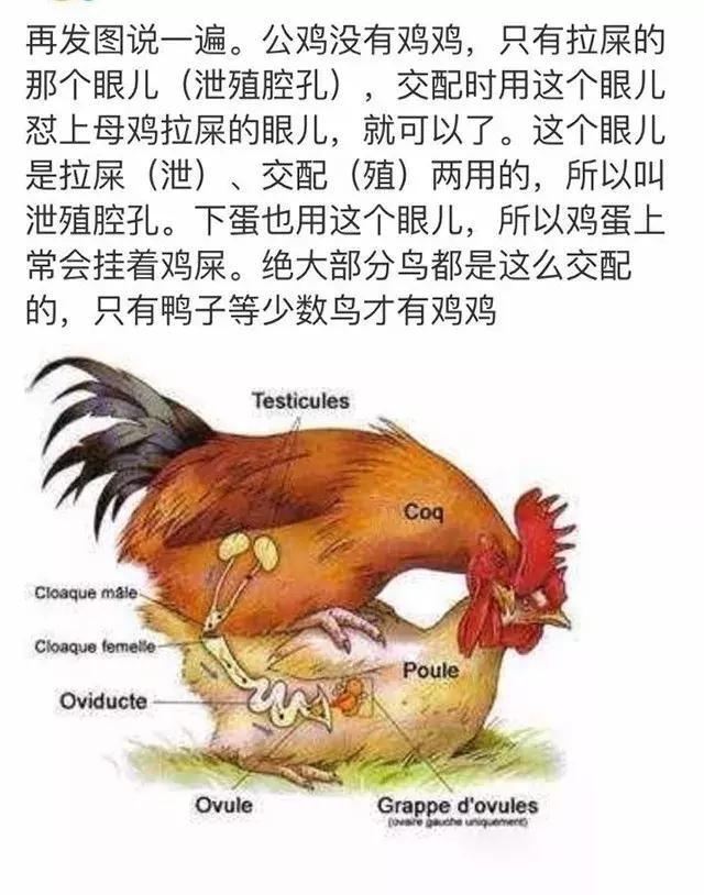 你是不是不知道这事