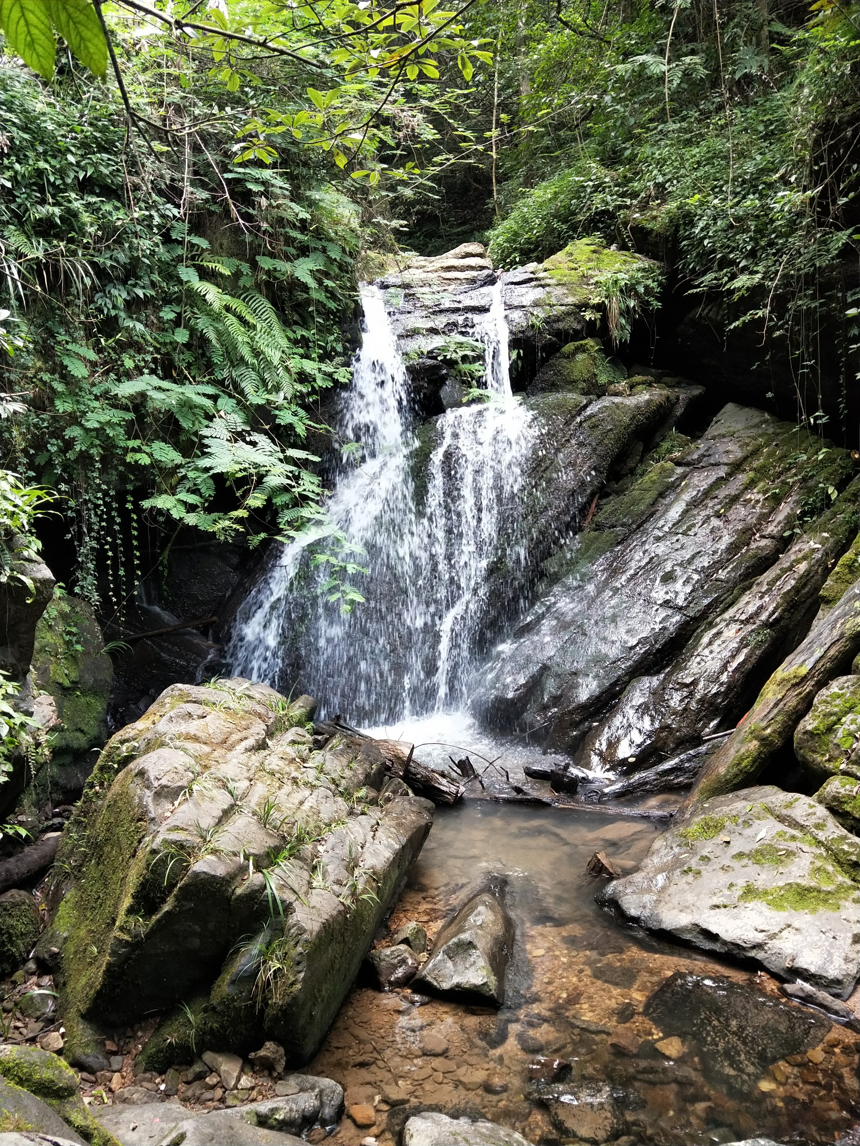 昨天去崇义阳岭爬山,路上好多锻炼身体的人