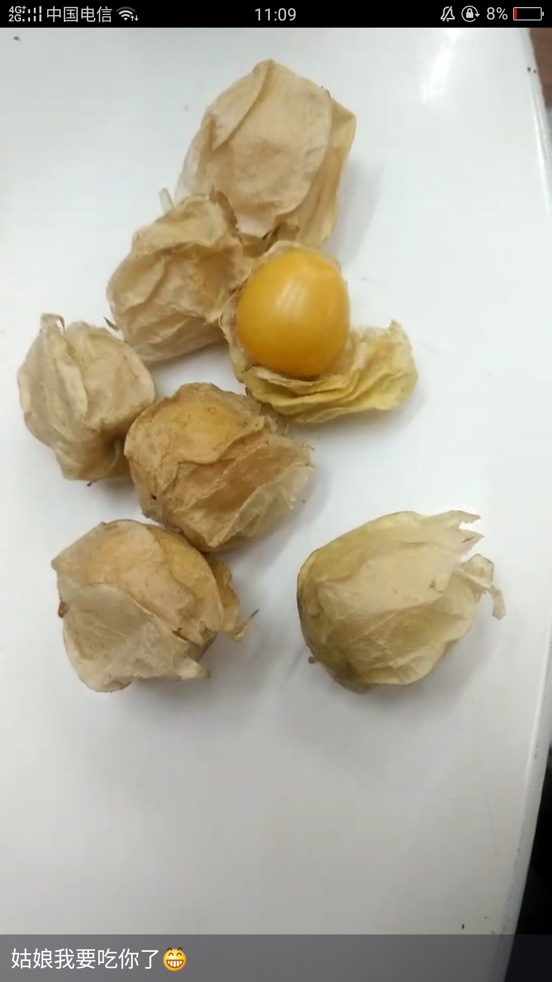 姑娘果,好吃不上火