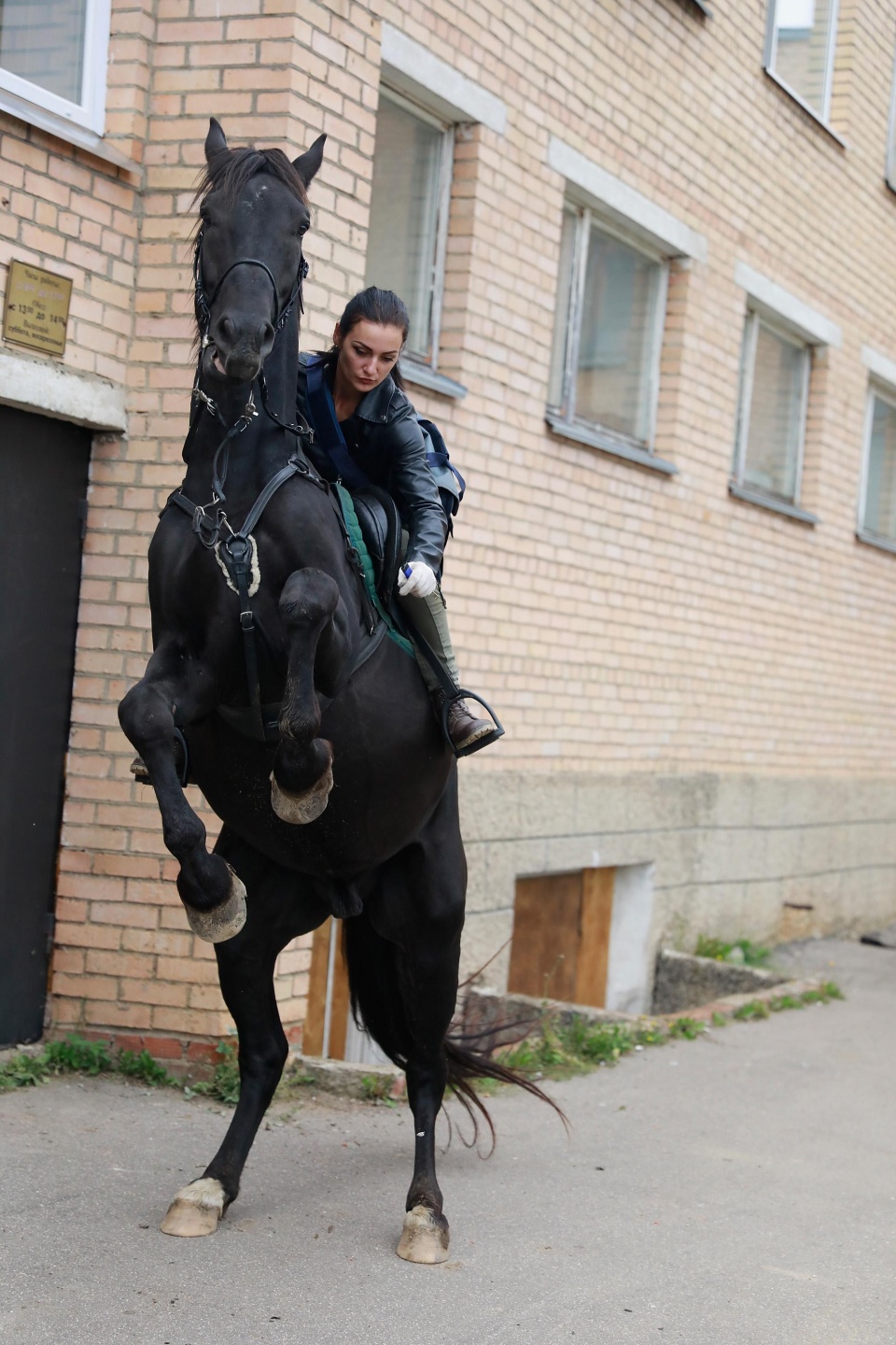美女骑哪个更好呢
