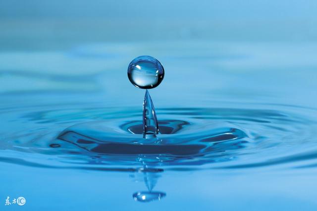 水滴中的微世界,太美了._帖子_oppo手机官方社区