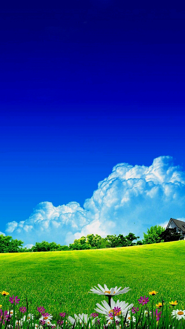 十月印象#_帖子_oppo手机官方社区