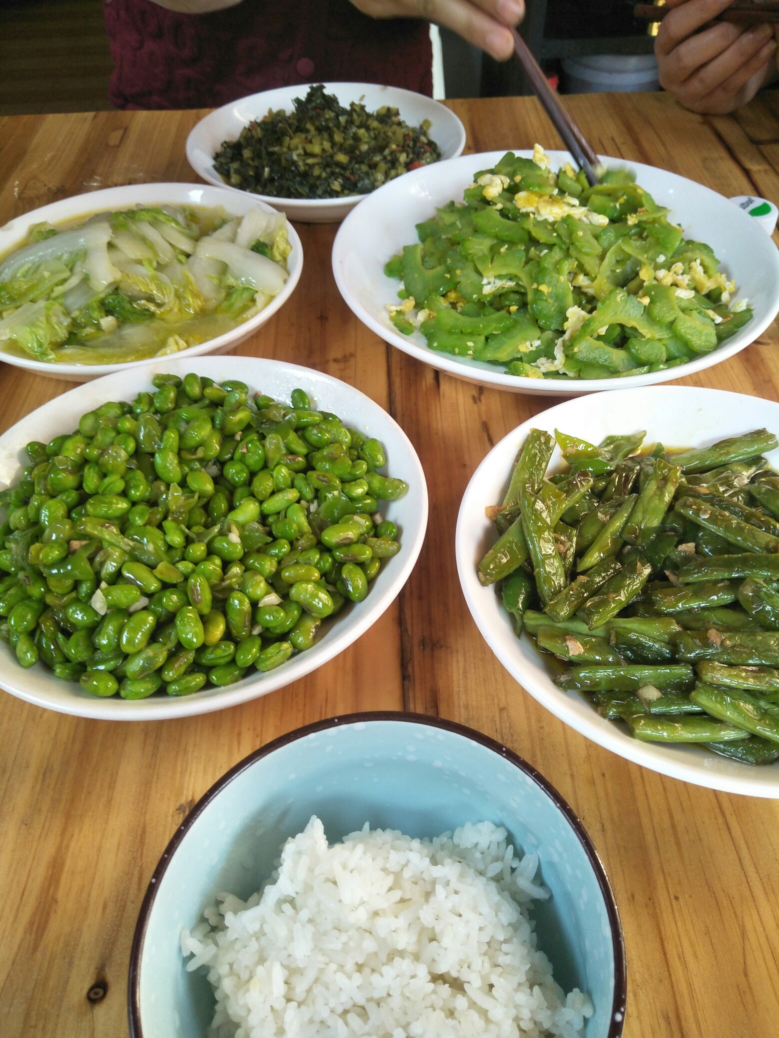 今天的菜全是绿色的