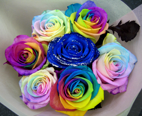 为什么把花留下人走了?