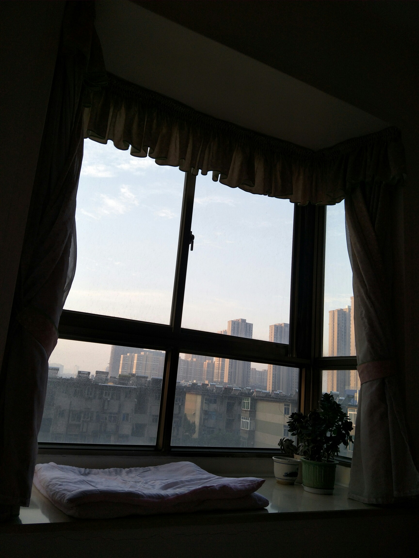 早安,还不想起床,可窗外已经很热闹了