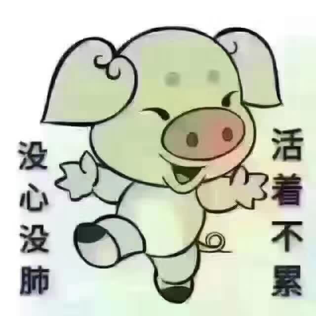 没心没肺活着不累