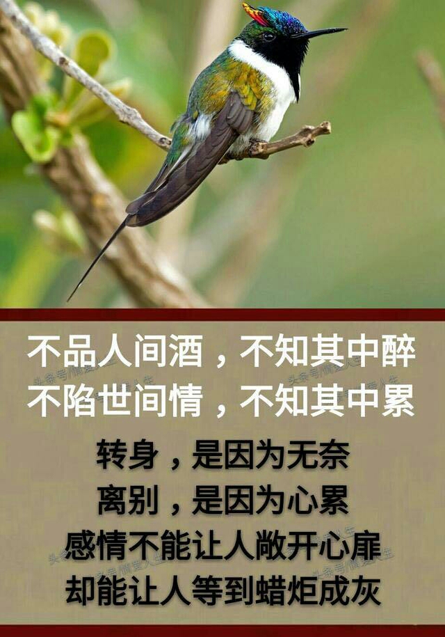 男人啊,你别太累!