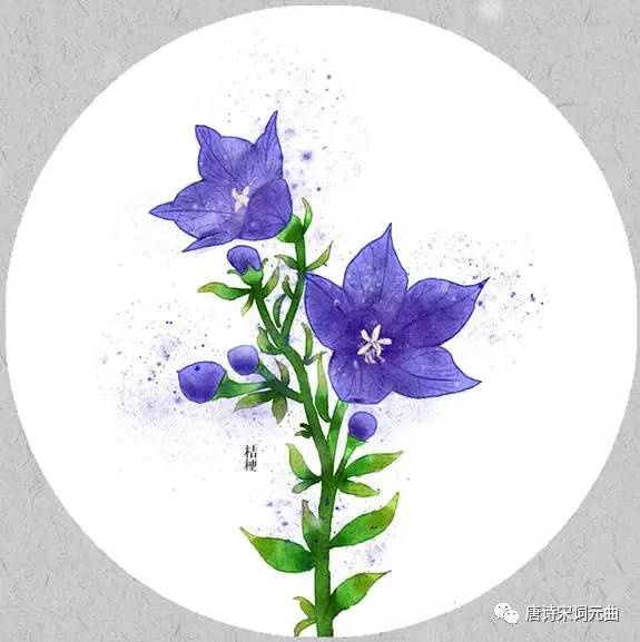 一瓣心香一瓣荷, 一泓秋水一泓波. 一池碧叶一池影, 一路风光一路歌.