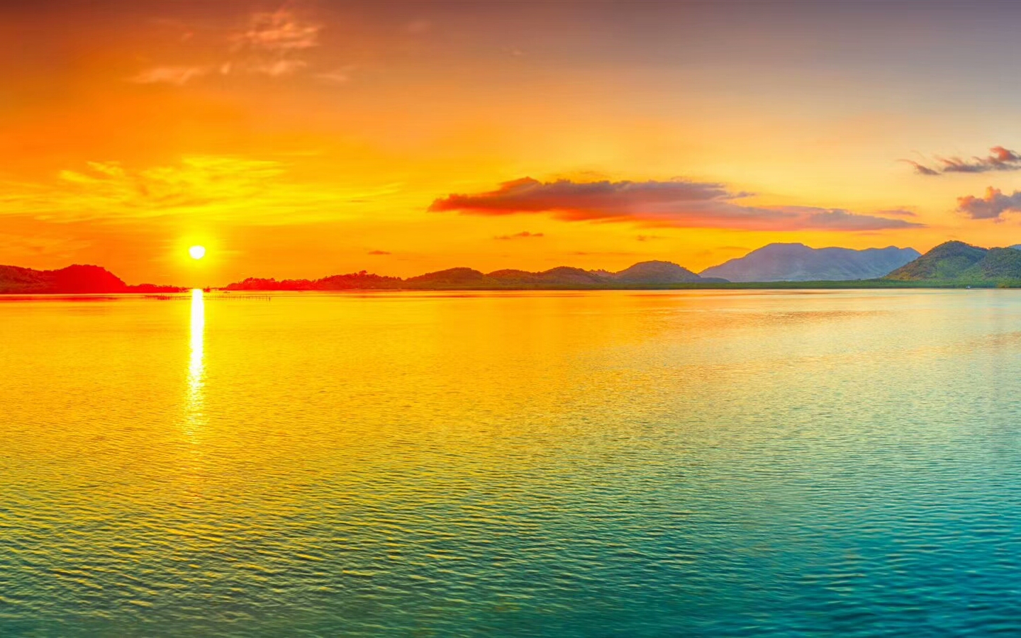 mx226_帖子_oppo手机官方社区