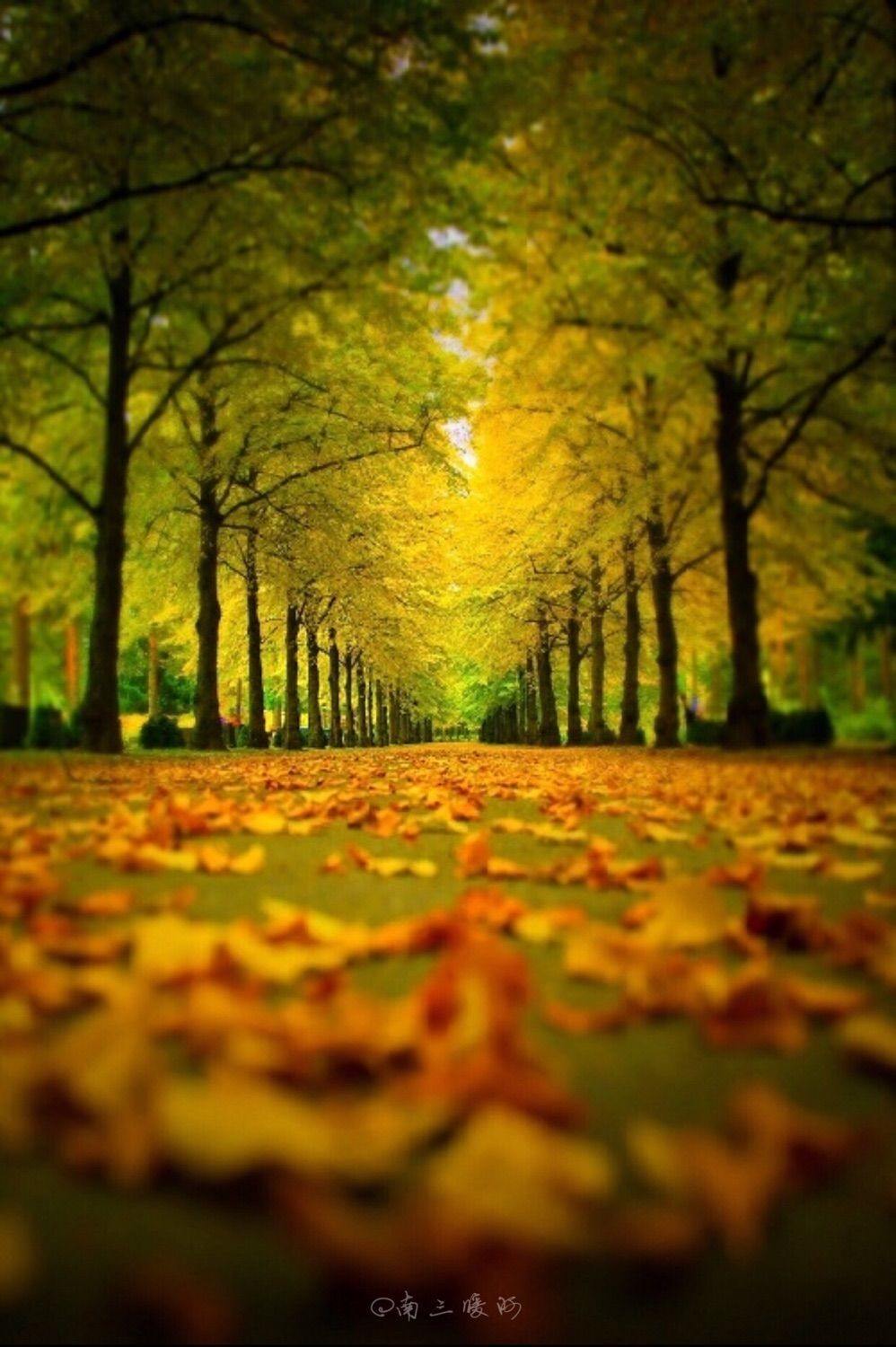 万物凋零,冬之韵!