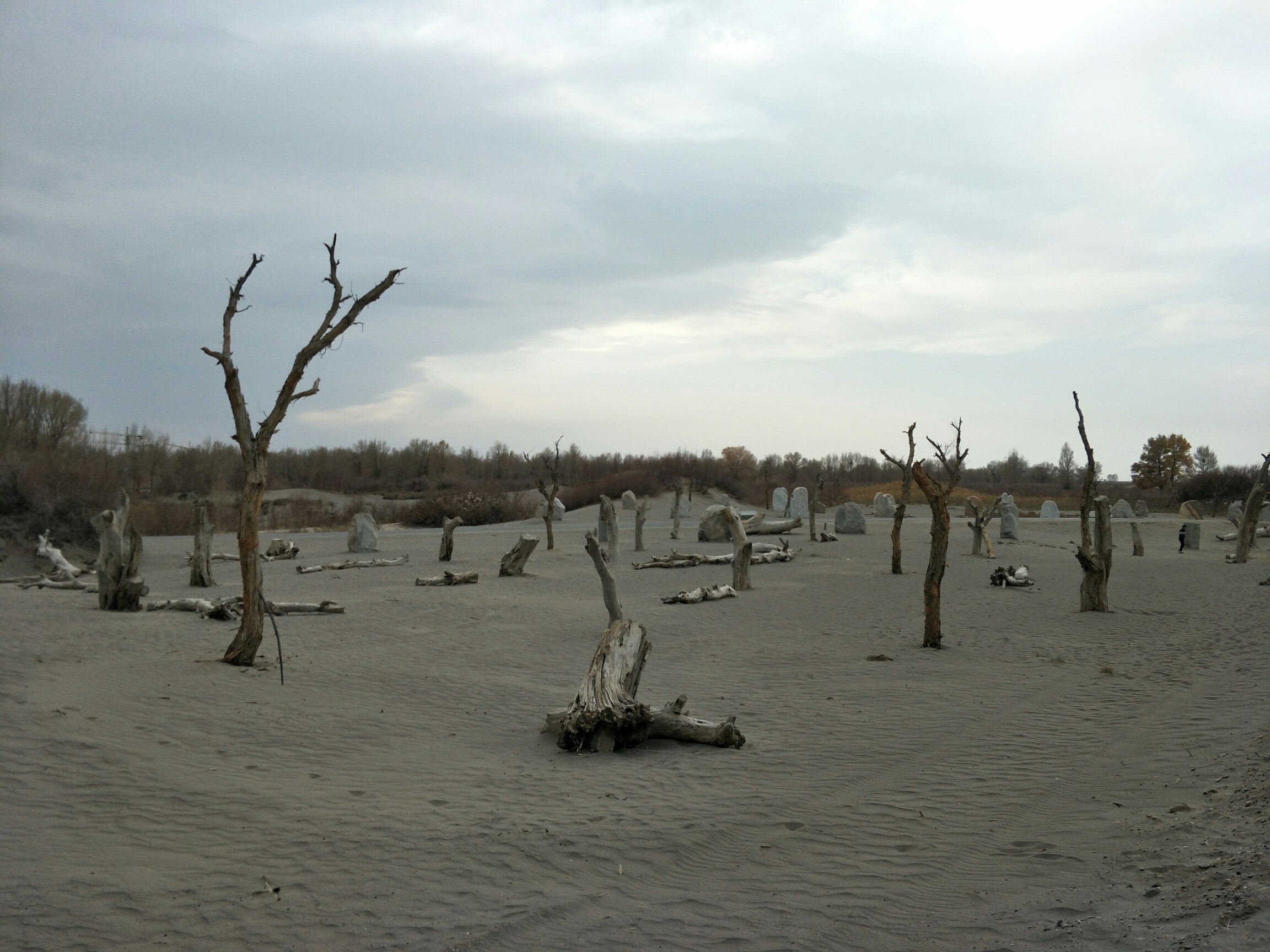 茫茫戈壁,一片荒芜