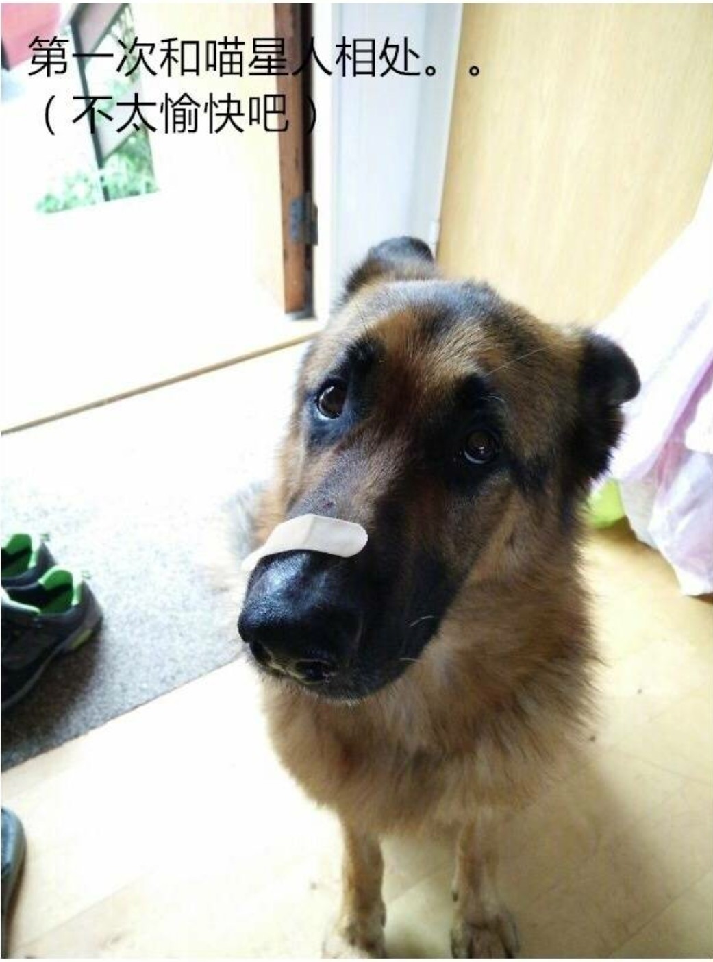 帖子_oppo手机官方社区