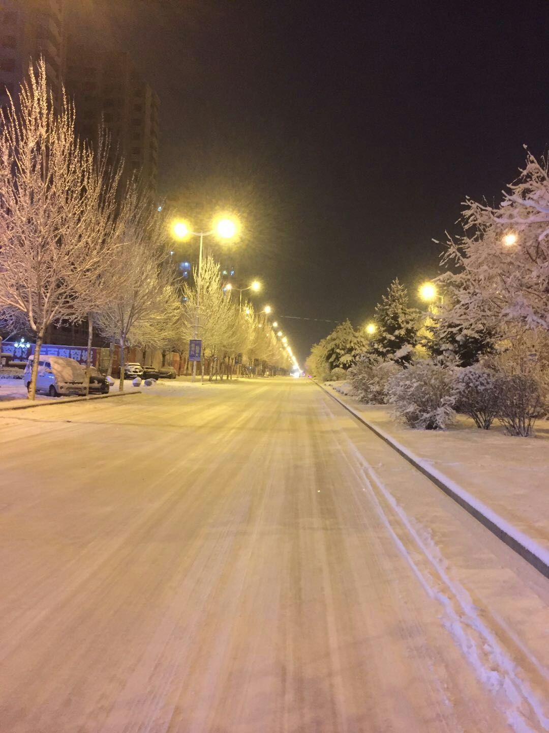 下雪夜景实景图片