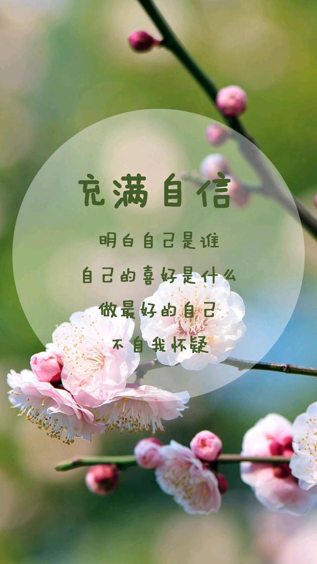 幻影天使wy2583_帖子_oppo手机官方社区