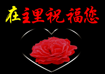 幻影天使wy2583_帖子_oppo手机官方社区