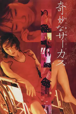 奇異馬戲團