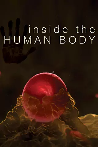Inside the Human Body
