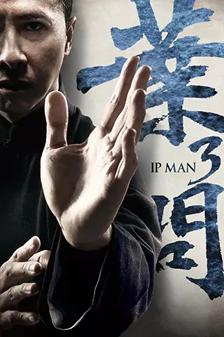 Yip Man 3