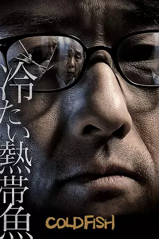 冰冷热带鱼