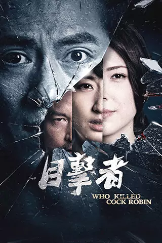 目擊者之追兇