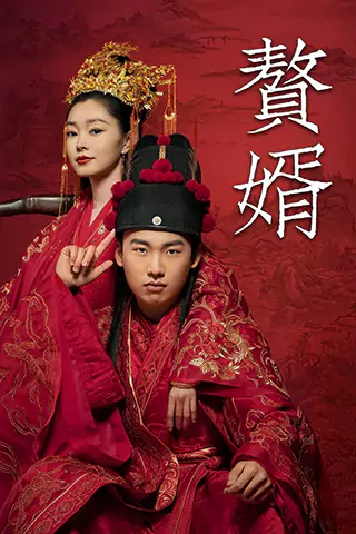 赘婿