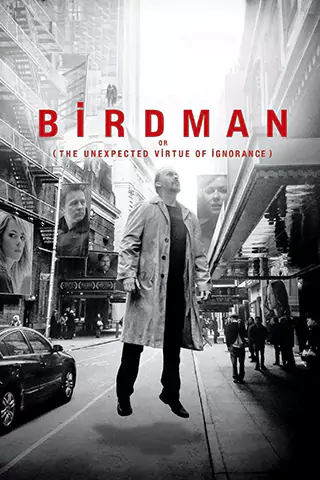 Birdman or (The Unexpected Virtue of Ignorance)