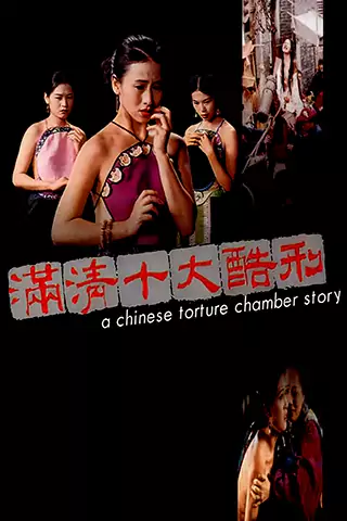 A Chinese Torture Chamber Story