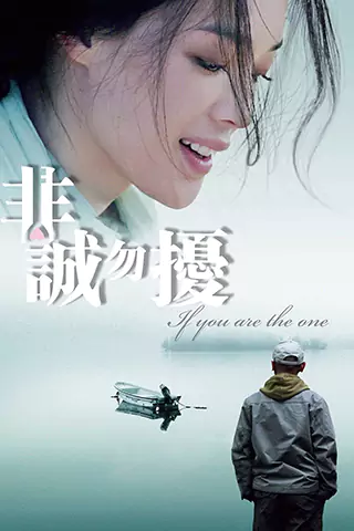 非誠勿擾